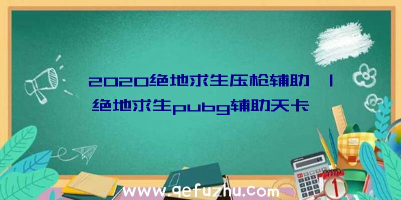 「2020绝地求生压枪辅助」|绝地求生pubg辅助天卡